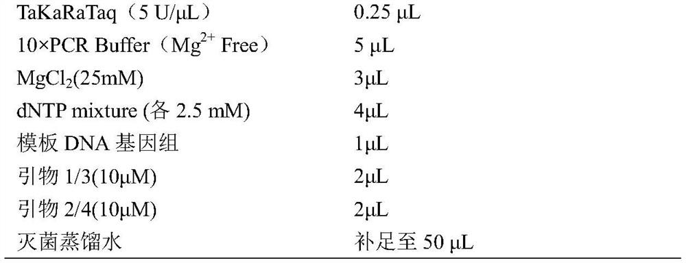 Short-chain dehydrogenase mutant and application thereof