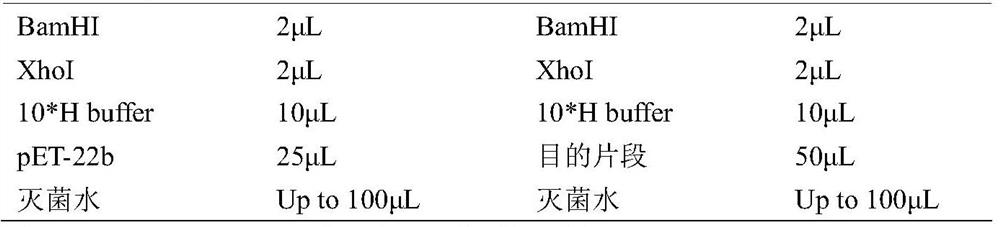 Short-chain dehydrogenase mutant and application thereof