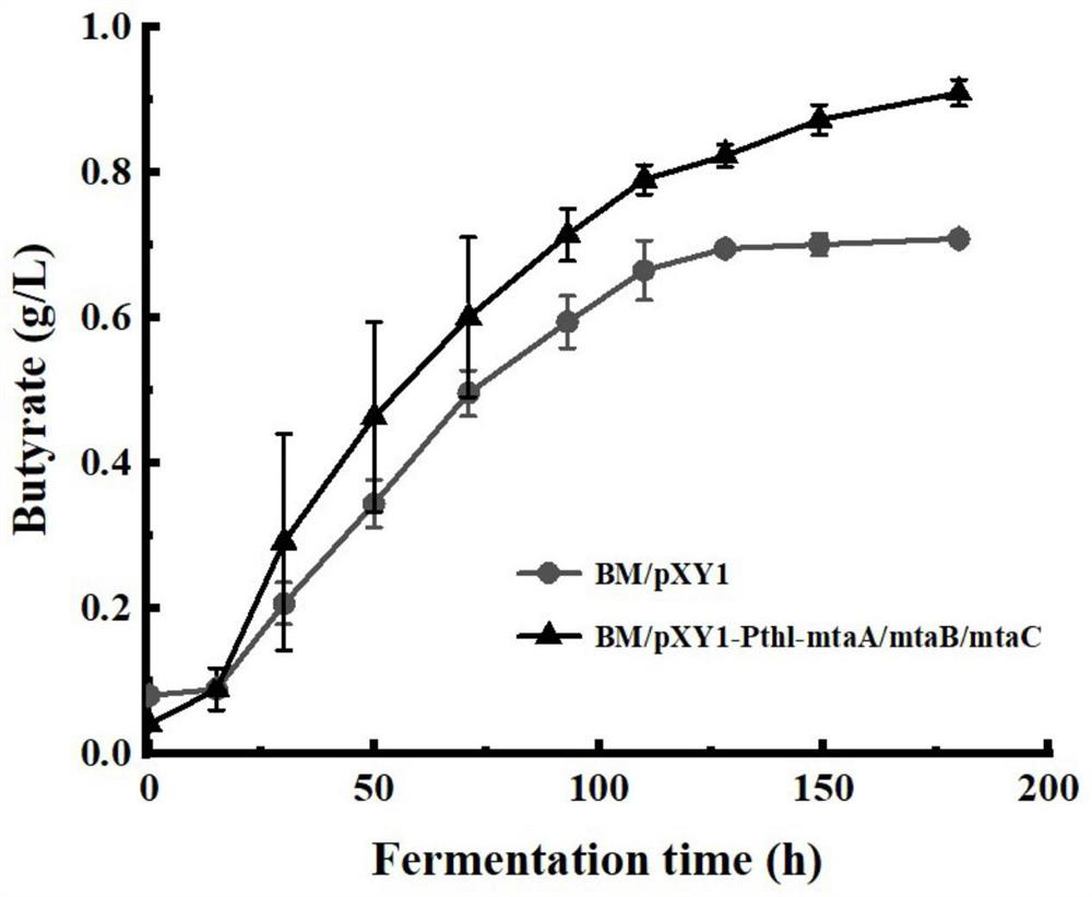 Recombinant bacillus methylotrophicus as well as construction method and application thereof