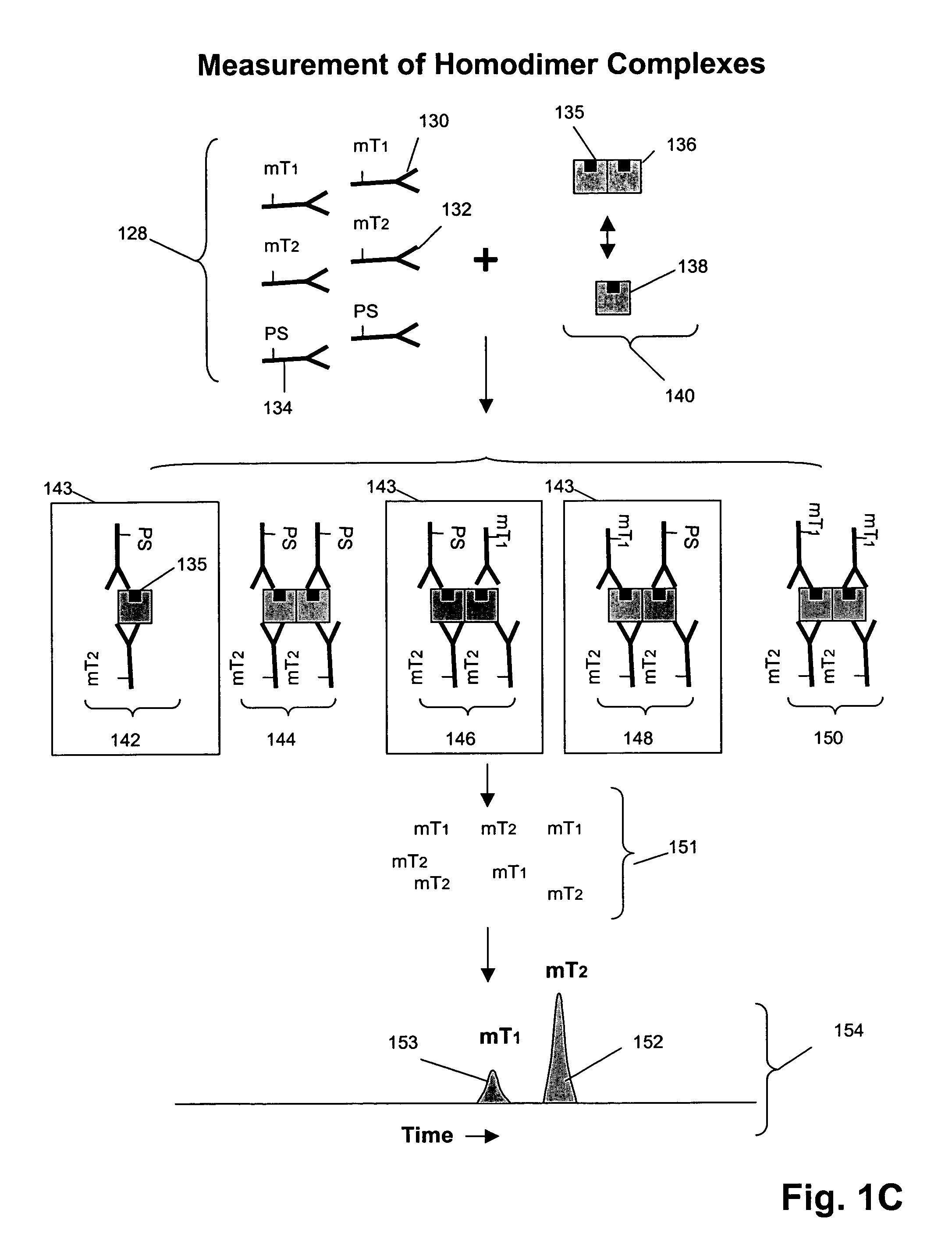 Receptor tyrosine kinase signaling pathway analysis for diagnosis and therapy