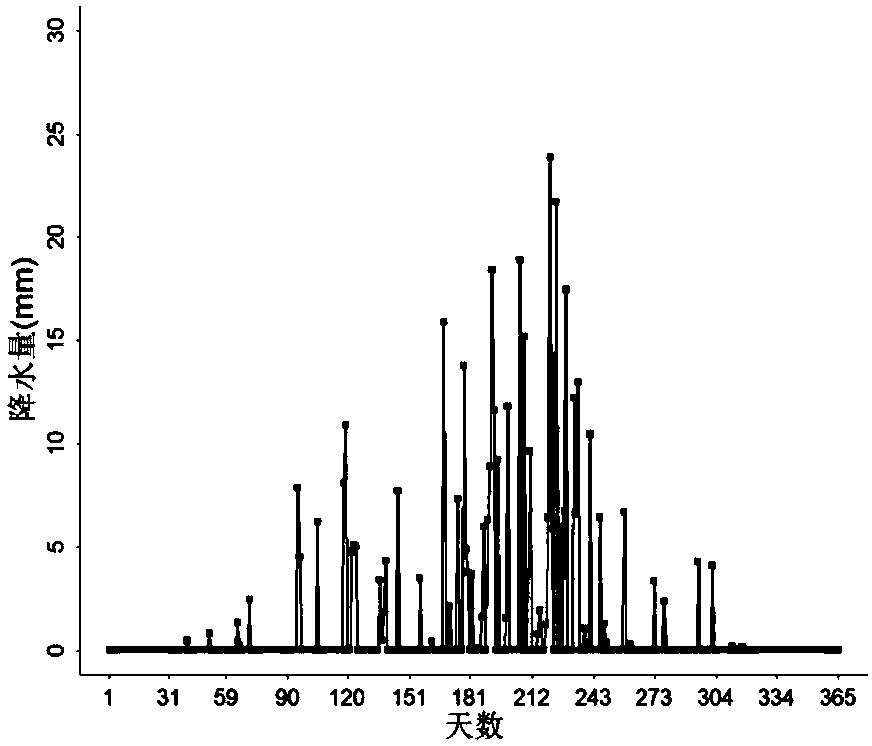 Day time scale-based rainfall generator