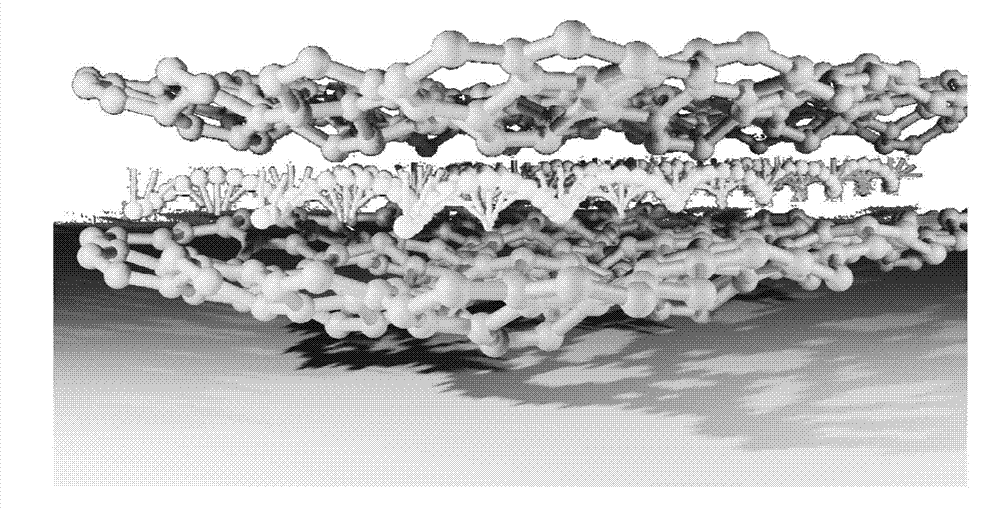 Oxytetracycline sensing detection method based on graphene aptamer hydrogel