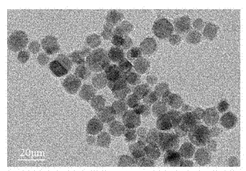 Preparation method of mri/pet dual-mode molecular imaging probe for atherosclerotic vulnerable plaque