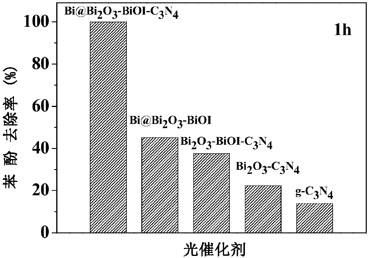 Bismuth/carbon nitride composite catalyst, and preparation method and applications thereof