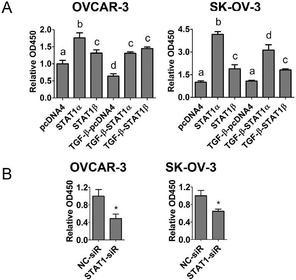 Application of STAT1 serving as ovarian cancer treatment target point