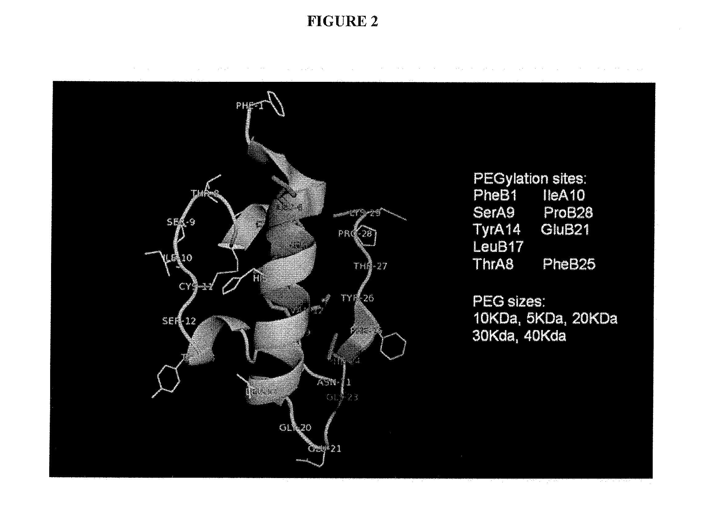 Modified Insulin Polypeptides and Their Uses