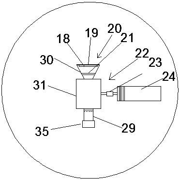 Food online detection device