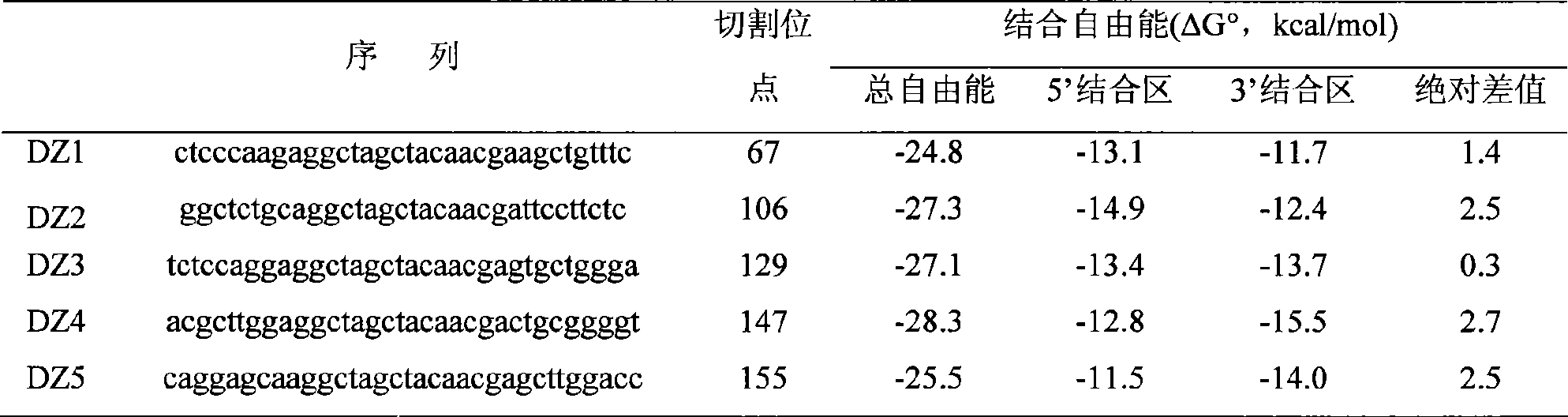 Deoxyribozyme for effective degradation of esoderma native-1mRNA and uses in reducing acute ischemic arrhythmia