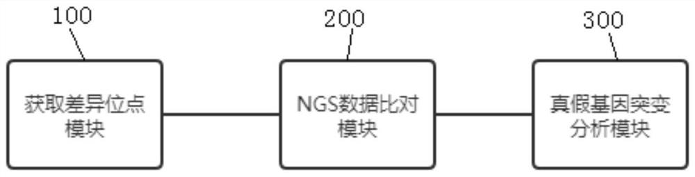 True and false gene mutation analysis method based on high-throughput sequencing and application