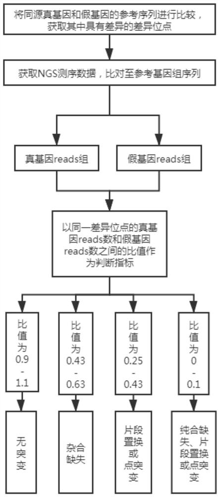 True and false gene mutation analysis method based on high-throughput sequencing and application