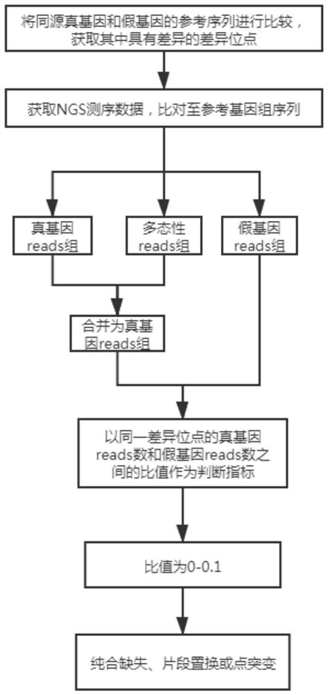 True and false gene mutation analysis method based on high-throughput sequencing and application