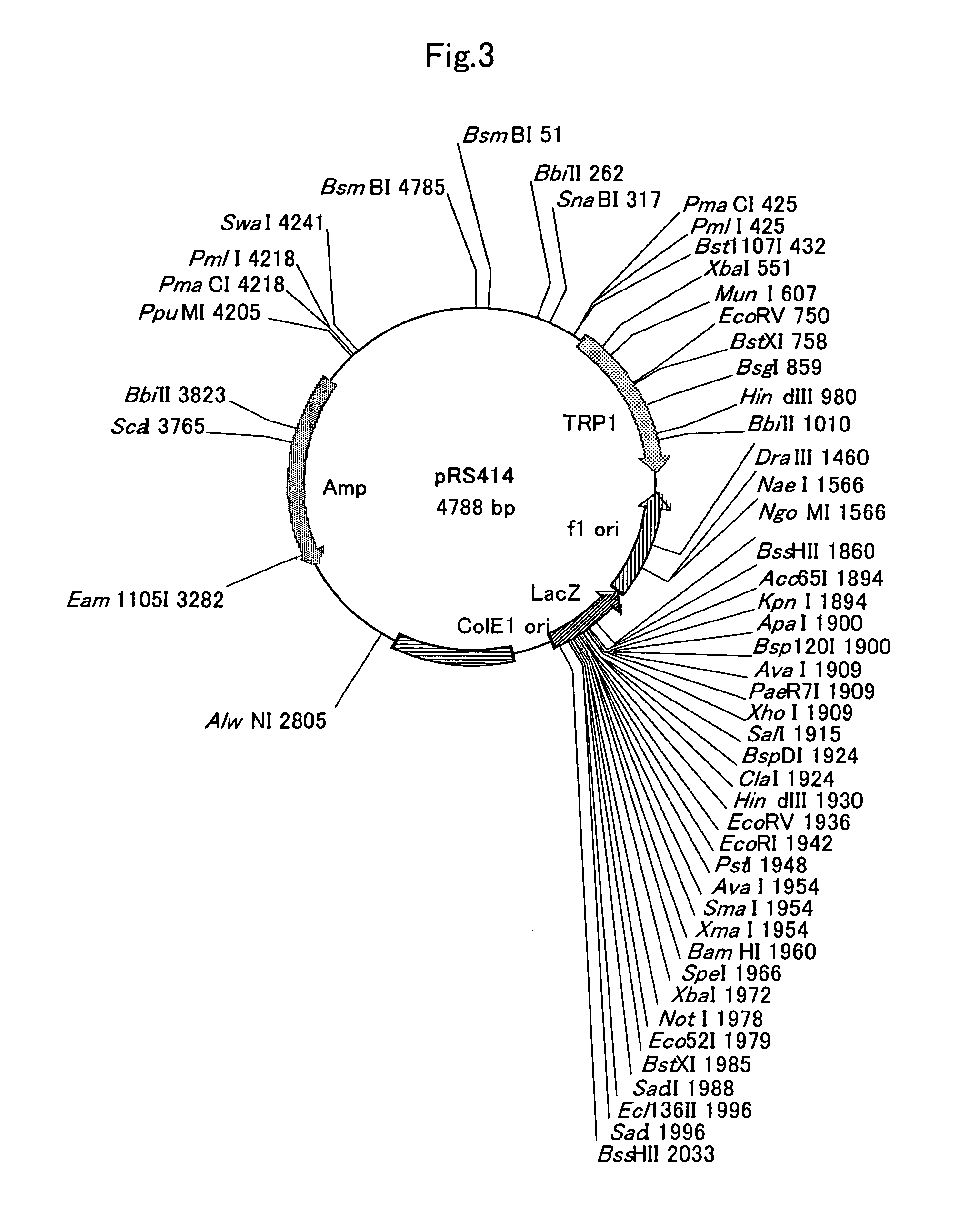 Methods of producing prenyl alcohols