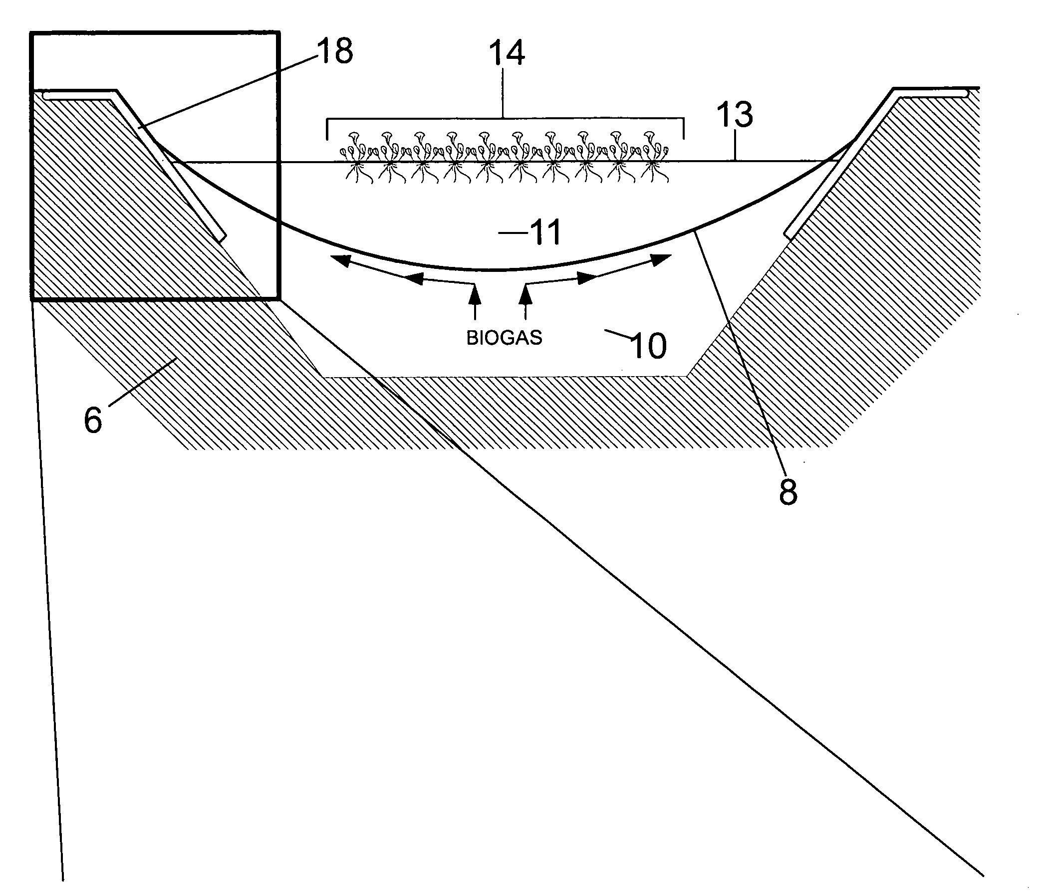 Apparatus and Method for Agricultural Animal Wastewater Treatment