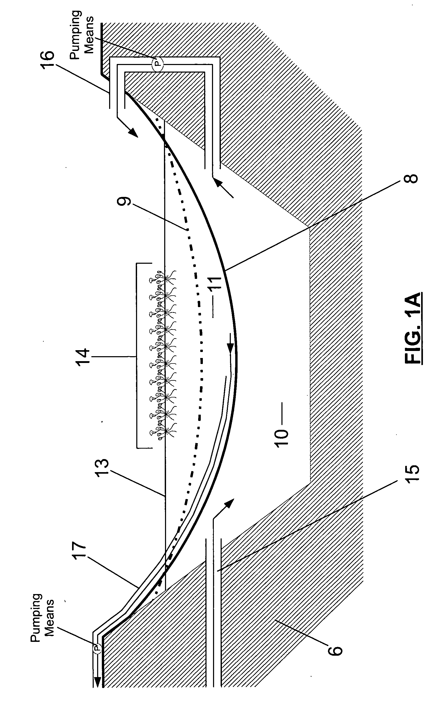 Apparatus and Method for Agricultural Animal Wastewater Treatment