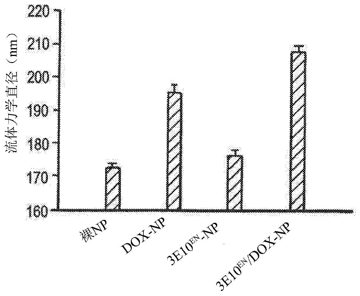 Antibody-mediated autocatalytic, targeted delivery of nanocarriers to tumors