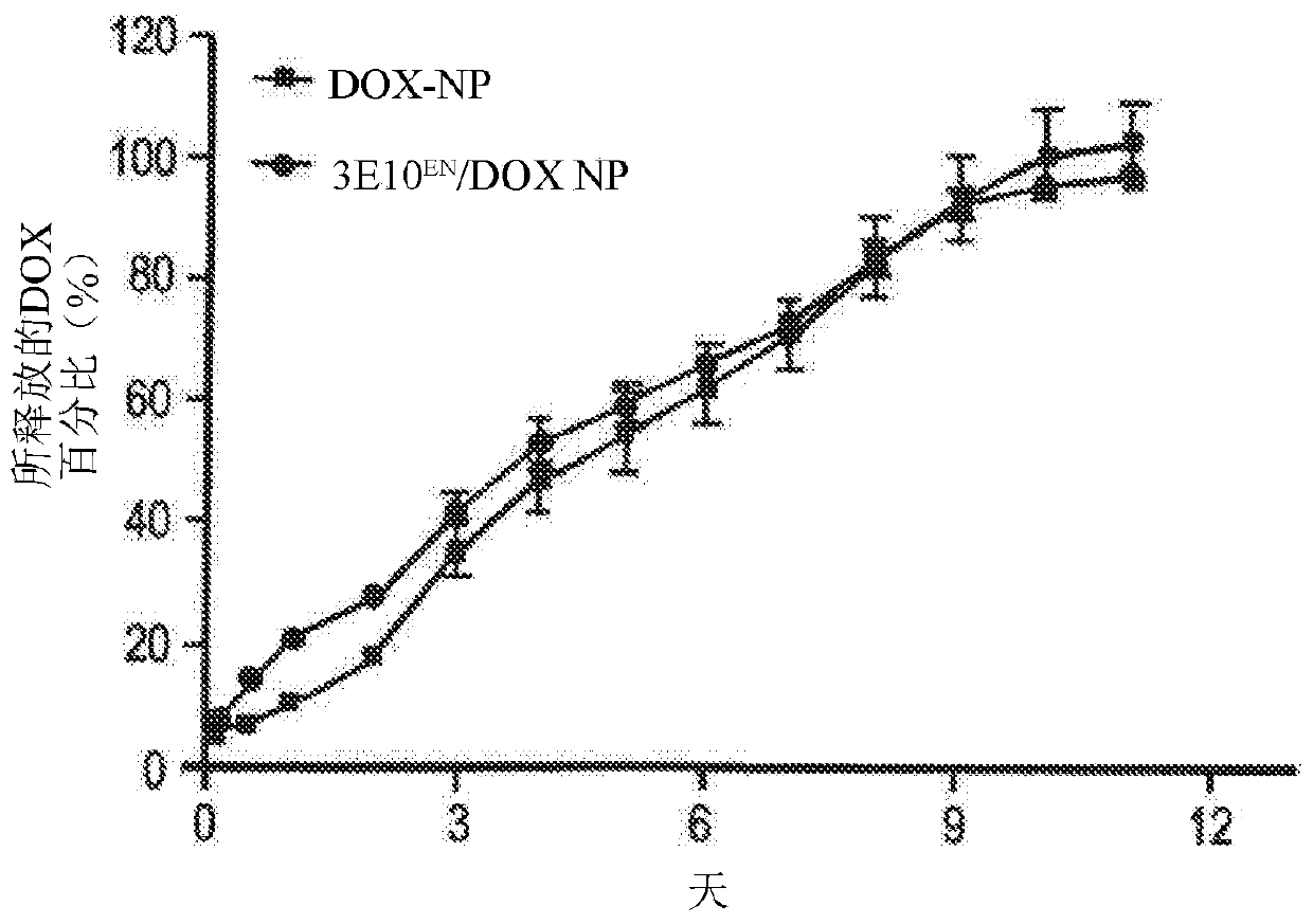 Antibody-mediated autocatalytic, targeted delivery of nanocarriers to tumors