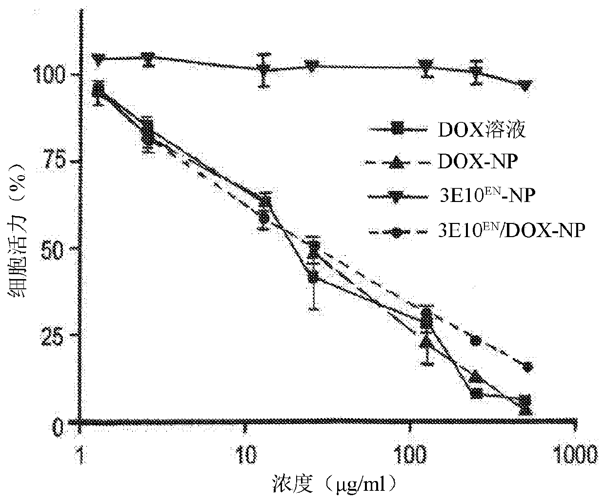 Antibody-mediated autocatalytic, targeted delivery of nanocarriers to tumors