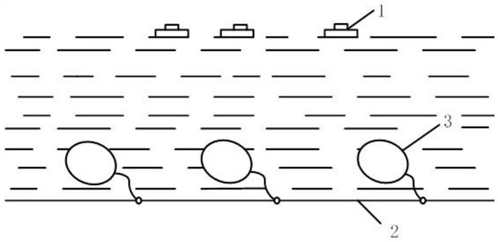 Ocean information detection cluster system and detection method