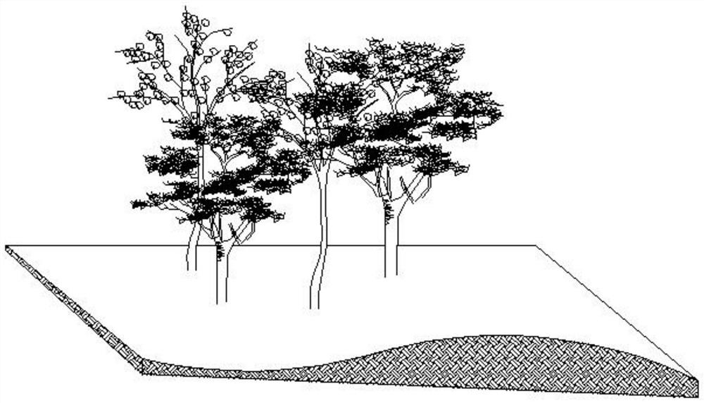 Novel sloping field multi-layer plant landscape structure