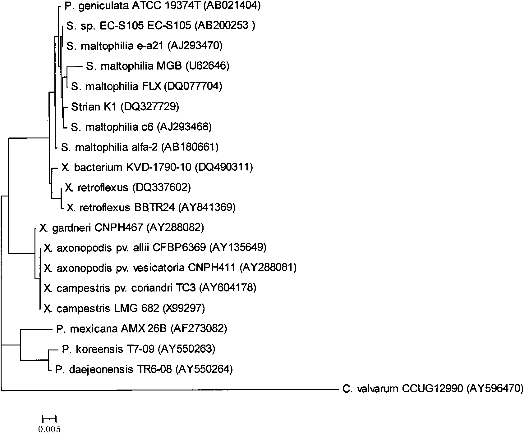 Strain for generating keratinase and application thereof