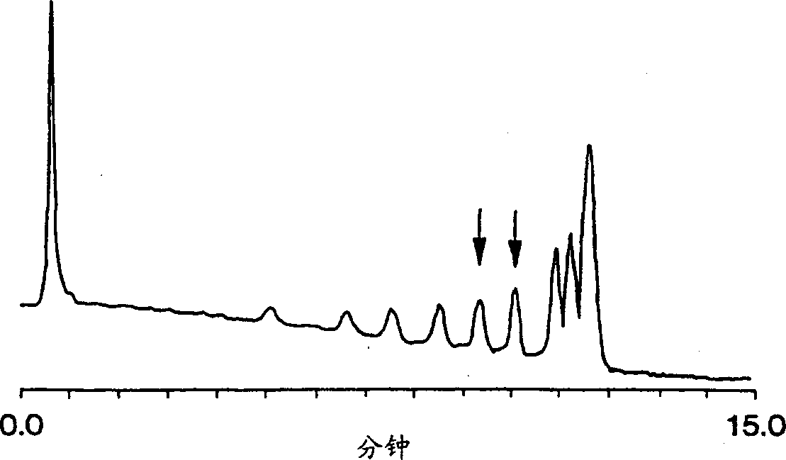 Monolithic matrix for separating nucleic acids by reverse-phase into-pair high performance liquid chromatography