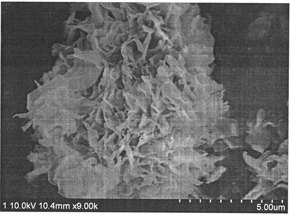 Rare-earth complex nano luminescent material