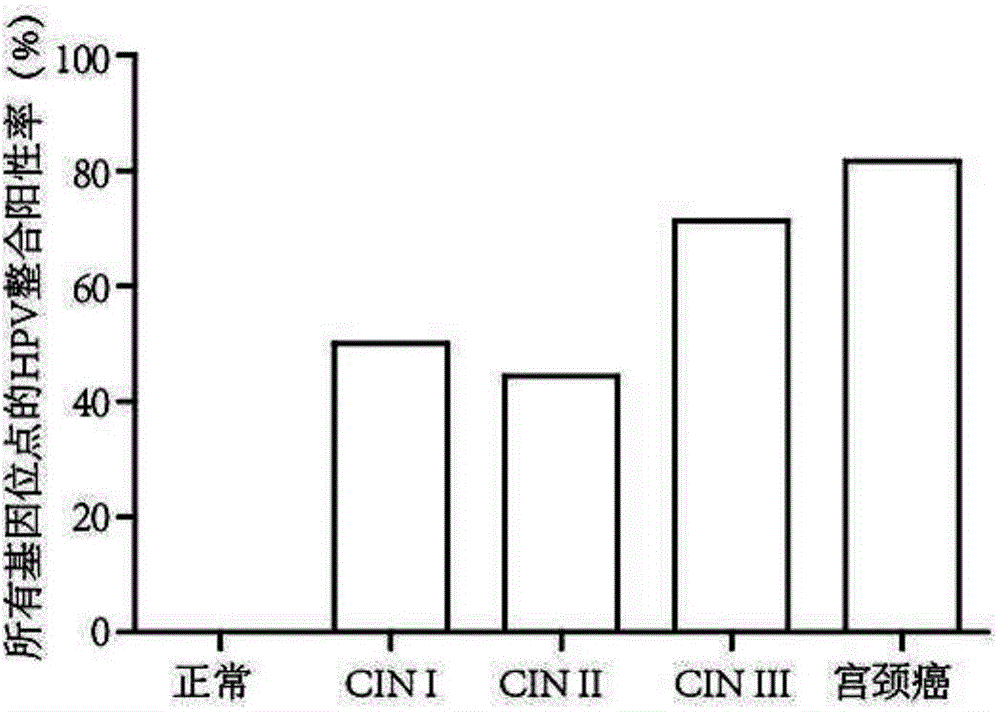 HPV-integrated gene sites related to occurrence of cervical carcinoma and application thereof