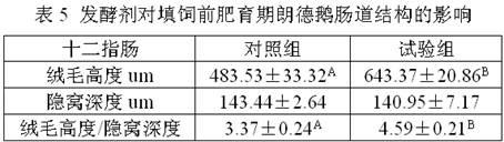 Feed leavening agent and fermented feed for promoting growth and liver development of geese