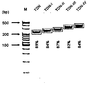 Multi-color fluorescent probe based on DNA nanostructure as well as preparation method and application of multi-color fluorescent probe