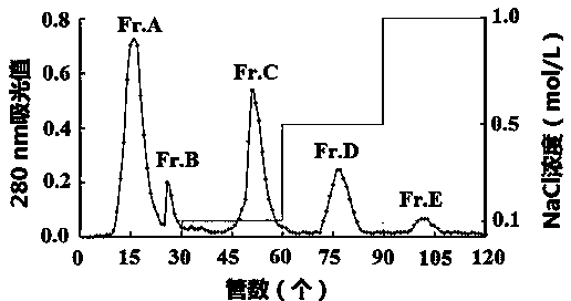 Pseudosciaena crocea flesh antioxidative peptide and preparation method and use thereof