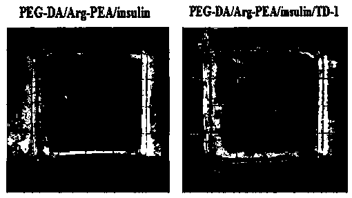 Transdermal delivery type hydrogel as well as preparation method and application thereof