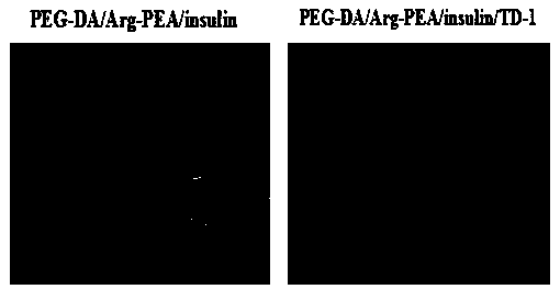 Transdermal delivery type hydrogel as well as preparation method and application thereof