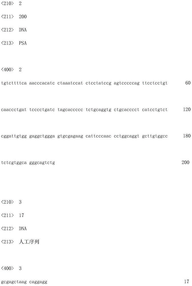 Detection method and primers for TMPRSS2-ERG gene in human urine