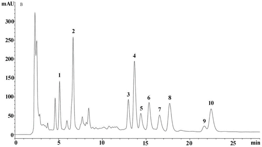 Guava leaf effective part with anti-tumor effect and preparation method and application thereof