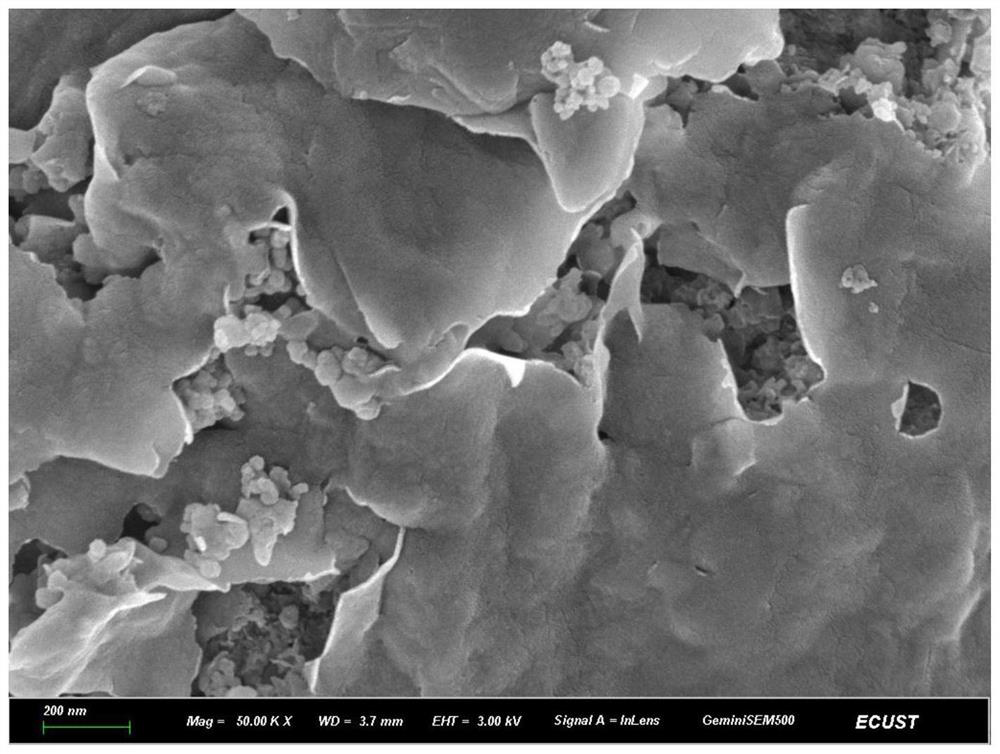 Preparation method and application of bentonite composite material for adsorbing and degrading site odor substances