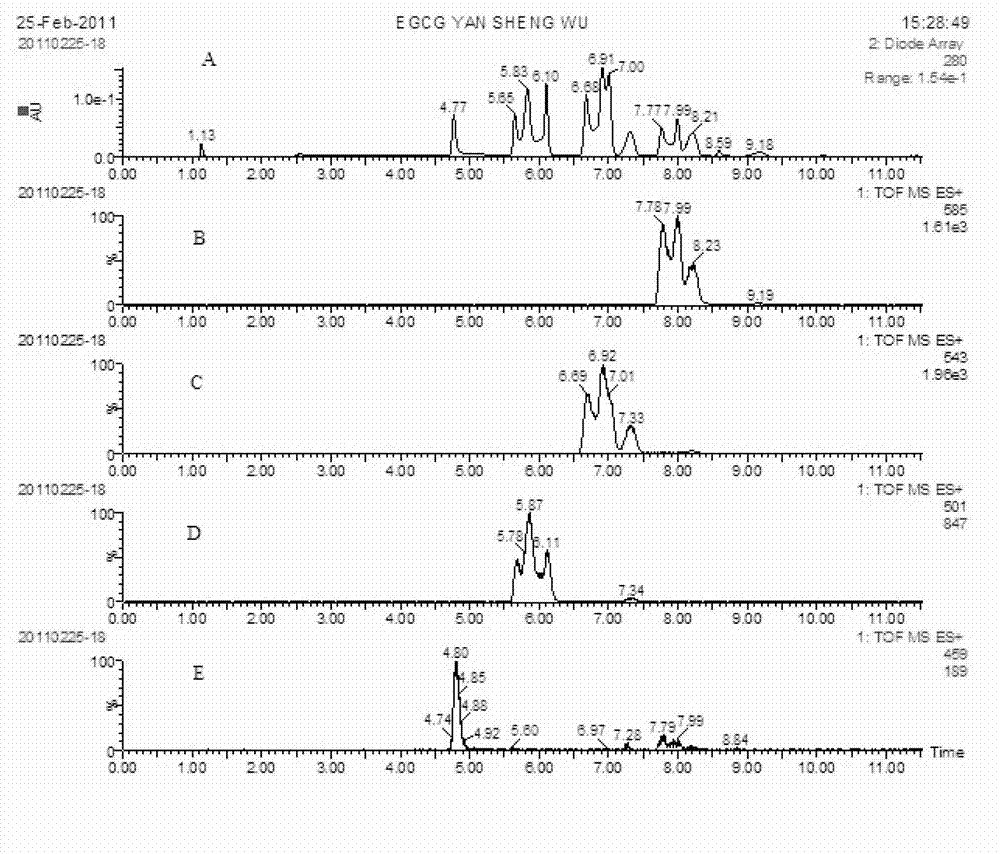 Method utilizing microwave assisted lipase catalysis to synthesize esterification modified EGCG