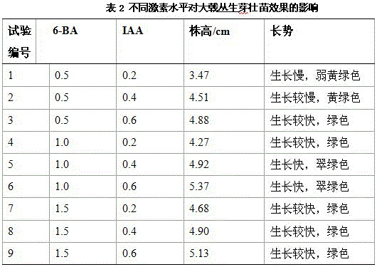 Method for tissue culture and rapid propagation of euphorbia pekinensis