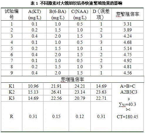 Method for tissue culture and rapid propagation of euphorbia pekinensis