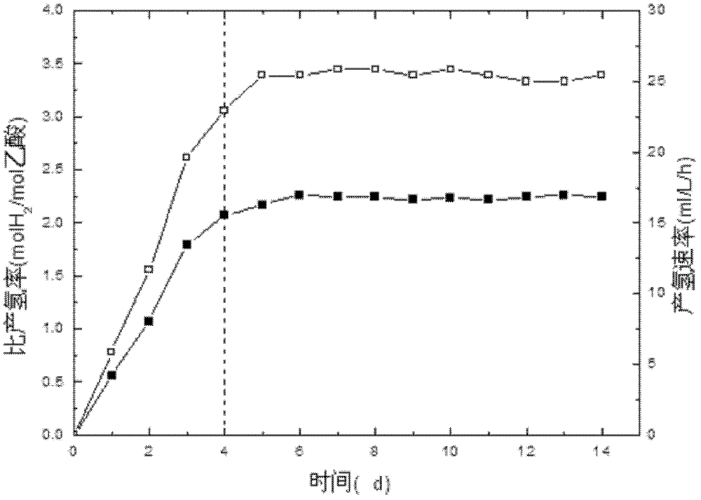 Photo-fermentation anaerobic fluidized bed hydrogen production reactor