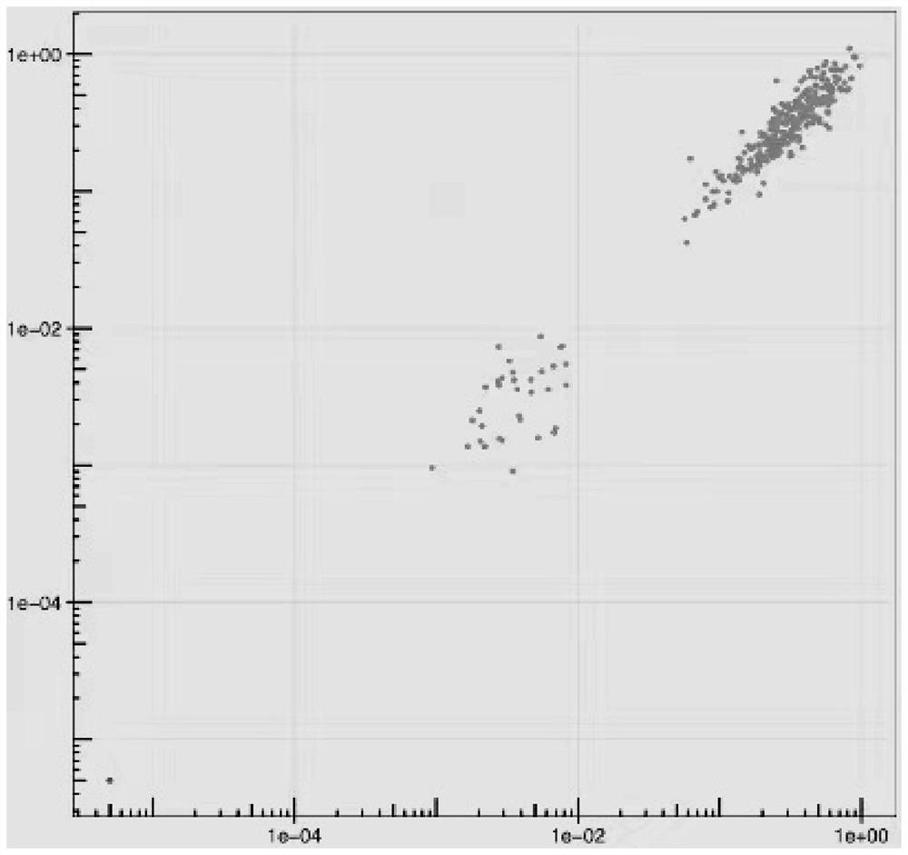 Library construction primer group and application thereof in high-throughput detection