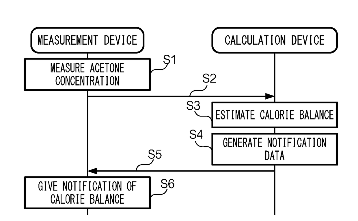 Information processing device, calorie management system, caloric balance estimation method, and program