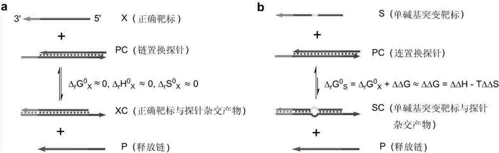 Thermodynamic optimization-based high specificity nucleic acid hybridization method