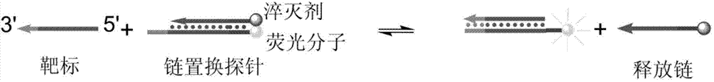 Thermodynamic optimization-based high specificity nucleic acid hybridization method