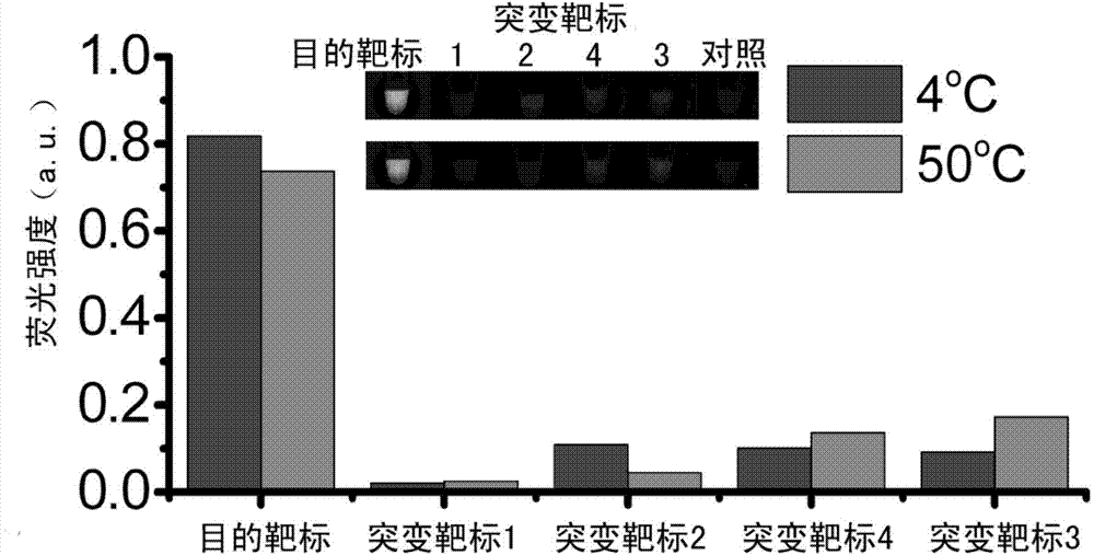 Thermodynamic optimization-based high specificity nucleic acid hybridization method