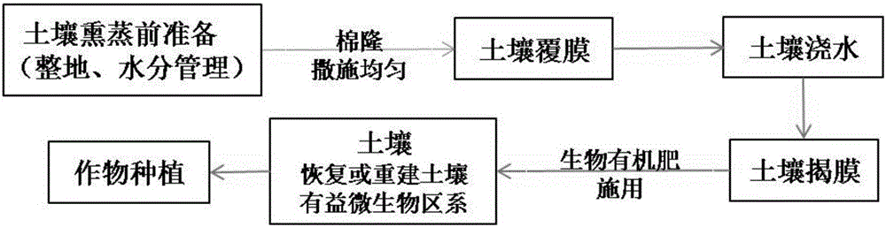 Soil treatment and bio-organic fertilizer combined method for controlling crop wilt disease