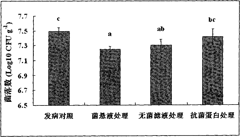 Paenibacillus polymyxa and application thereof