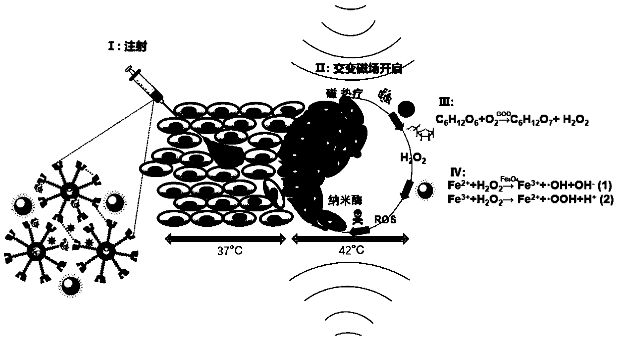 Magnetic heat triggered cascaded enzyme reaction supermolecular gel and preparing method and application thereof