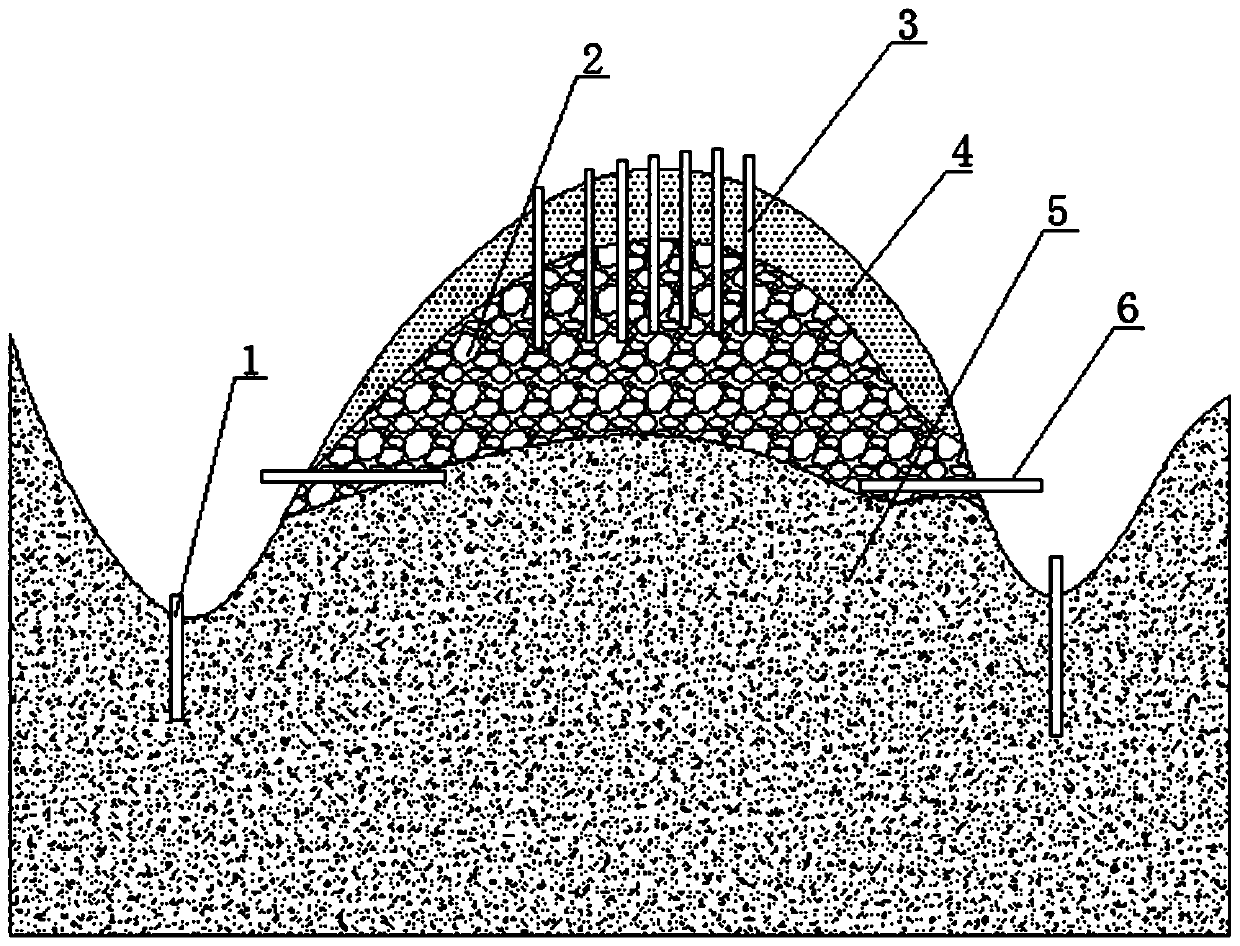 Active extraction method for ion type rare earth ore in-situ leaching