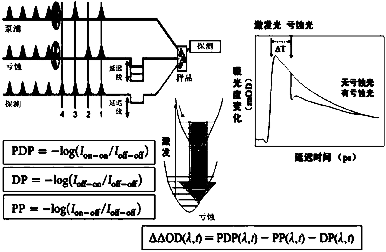 Femtosecond broadband pumping-excitation/eclipse-detection spectrometer