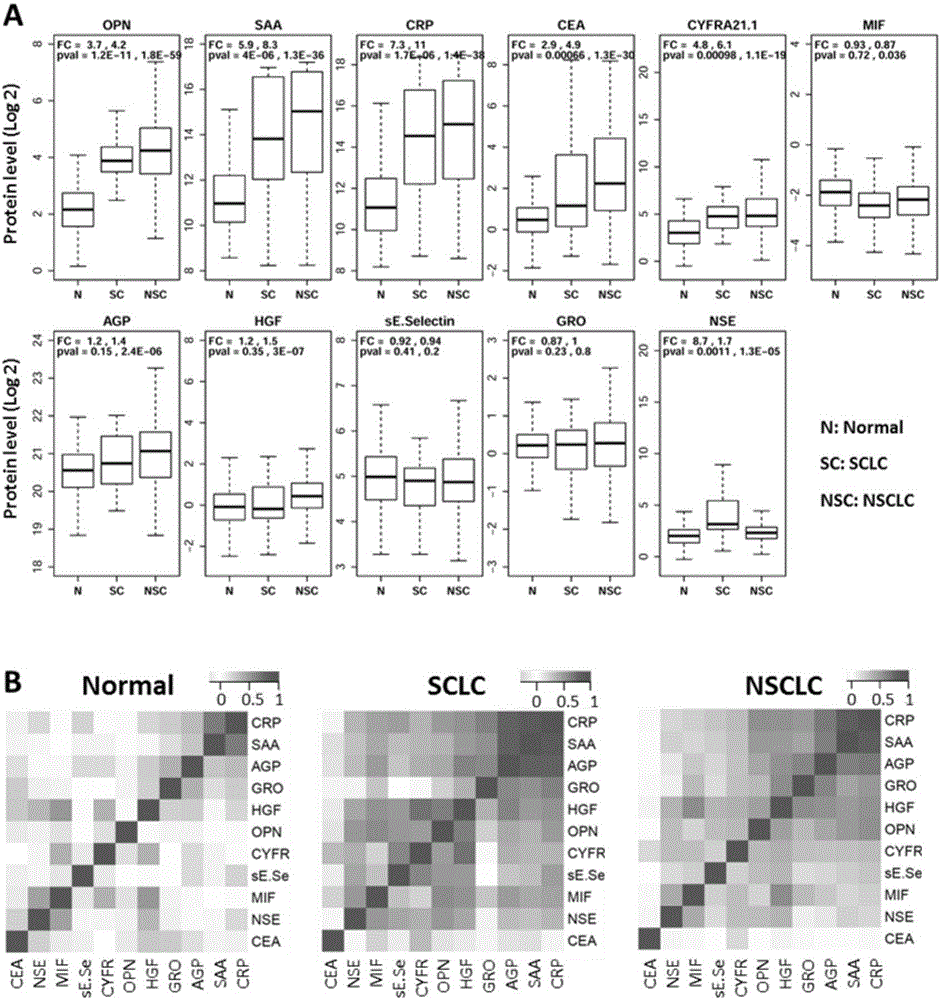 Application of serum molecular marker combination as lung cancer diagnosis and curative effect monitoring marker